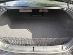 Trunk 1.JPG
